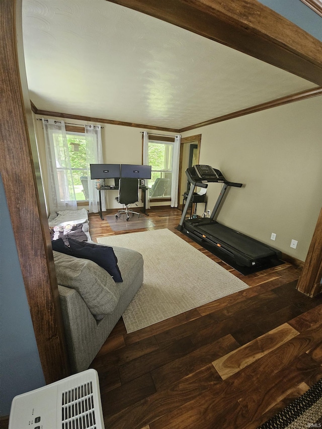 workout room with a wealth of natural light, wood finished floors, and ornamental molding
