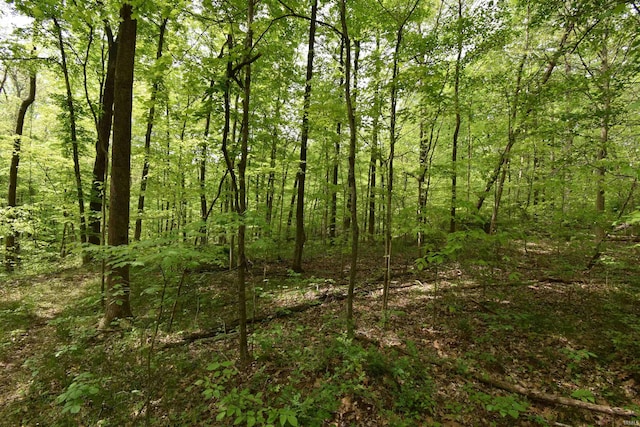0 E 175 S Rd, Birdseye, IN 47513