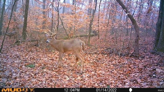 0 E 175 S Rd, Birdseye, IN 47513