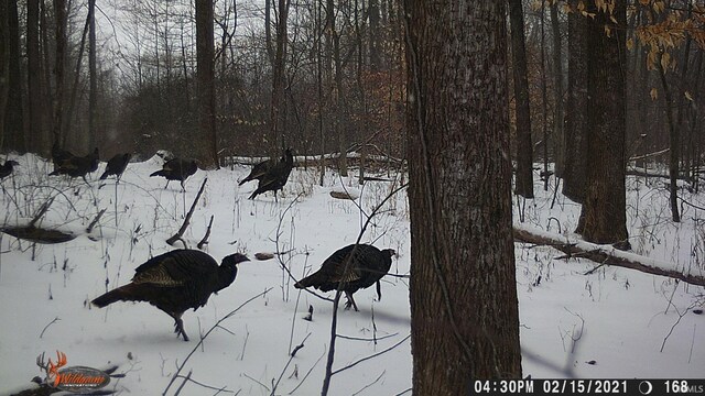 0 E 175 S Rd, Birdseye, IN 47513