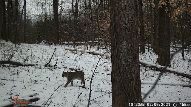 0 E 175 S Rd, Birdseye, IN 47513