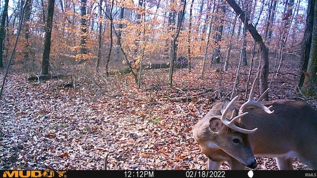 0 E 175 S Rd, Birdseye, IN 47513