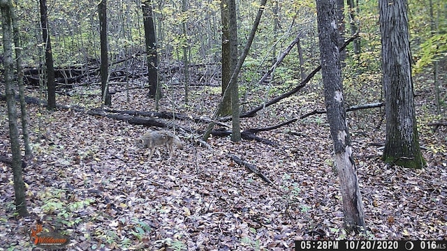 0 E 175 S Rd, Birdseye, IN 47513