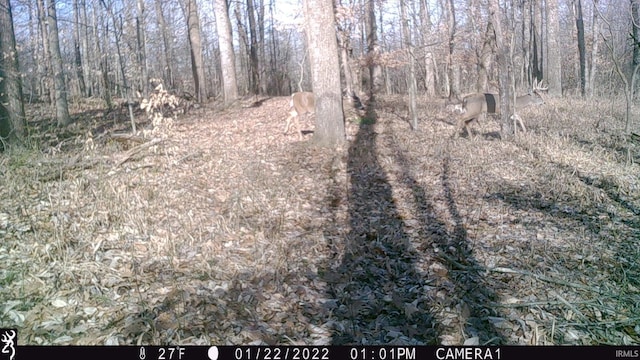 0 E 175 S Rd, Birdseye, IN 47513