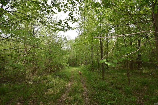 0 E 175 S Rd, Birdseye, IN 47513