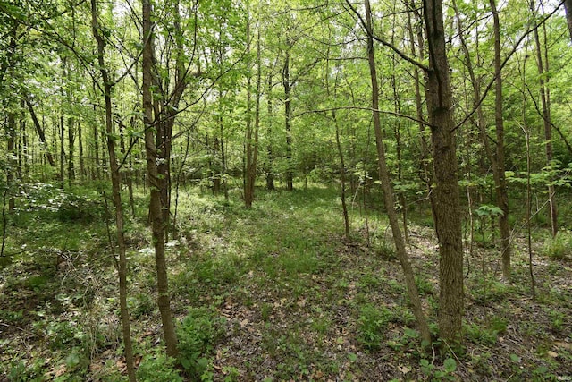 0 E 175 S Rd, Birdseye, IN 47513