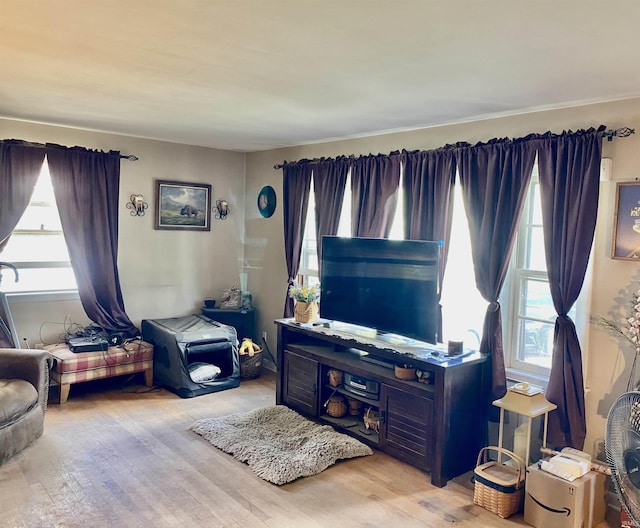 living room with light wood-type flooring