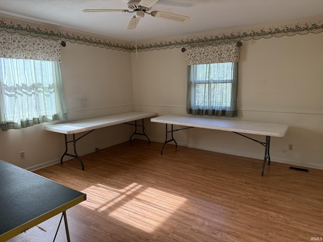 unfurnished office with plenty of natural light, wood finished floors, a ceiling fan, and baseboards