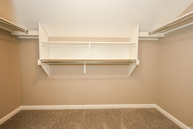 7001 Sweet Gum Ct, Fort Wayne, IN 46804 - spacious closet with carpet flooring