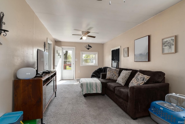 living area with a ceiling fan and carpet