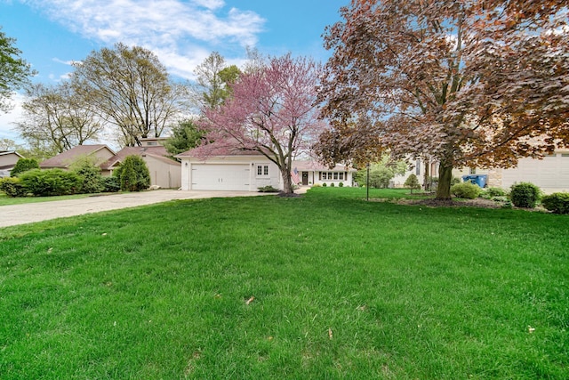 view of green lawn featuring concrete driveway