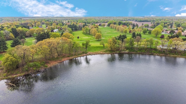 drone / aerial view of a large body of water