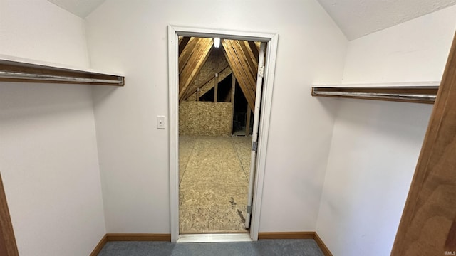 9081 N 725 E, Otterbein, IN 47970 - walk in closet with lofted ceiling