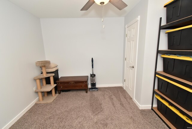 exercise area with carpet floors, ceiling fan, and baseboards