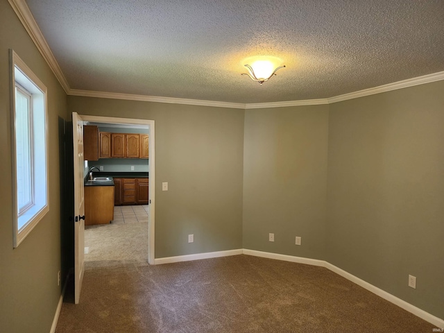 carpeted spare room featuring a textured ceiling, a sink, healthy amount of natural light, ornamental molding, and baseboards