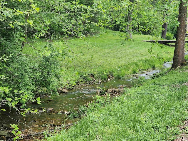 view of undeveloped land