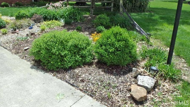 view of grassy yard