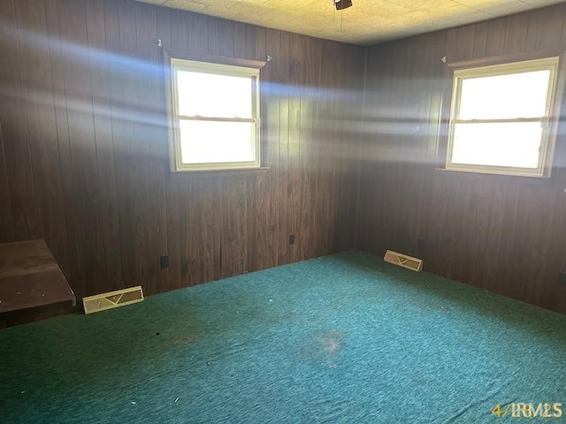 108 S Main St, Patoka, IN 47666 - carpeted empty room featuring wooden walls
