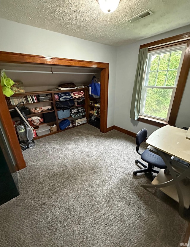 110 W Elnora St, Odon, IN 47562 - office area with carpet flooring, a textured ceiling, and baseboards