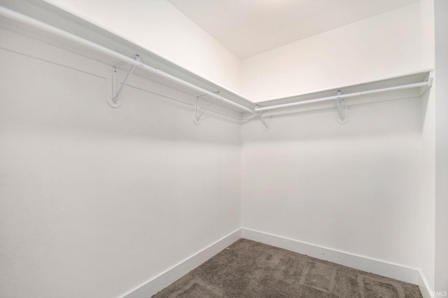 spacious closet with carpet flooring