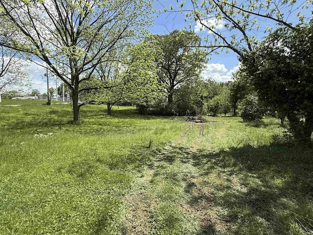 219 W Boone St, Gentryville, IN 47537 - view of local wilderness