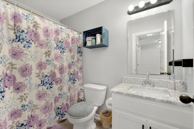 13726 Hamilton Meadows Ln, Fort Wayne, IN 46814 - bathroom featuring toilet, vanity, and a shower with curtain