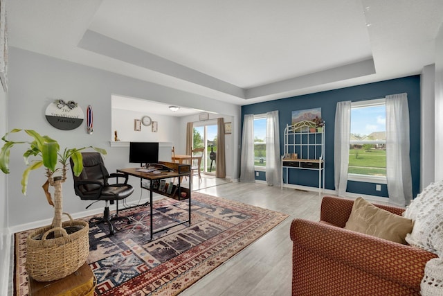 13726 Hamilton Meadows Ln, Fort Wayne, IN 46814 - office space with a tray ceiling, healthy amount of natural light, wood finished floors, and baseboards