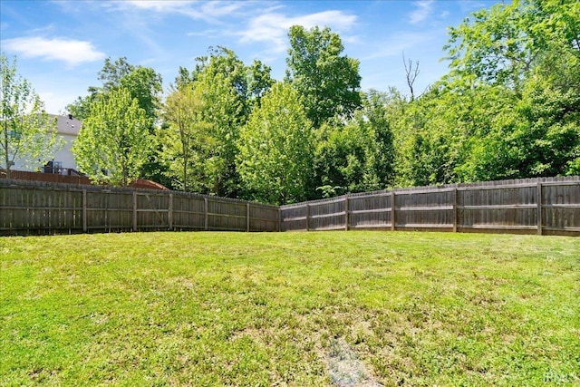view of yard