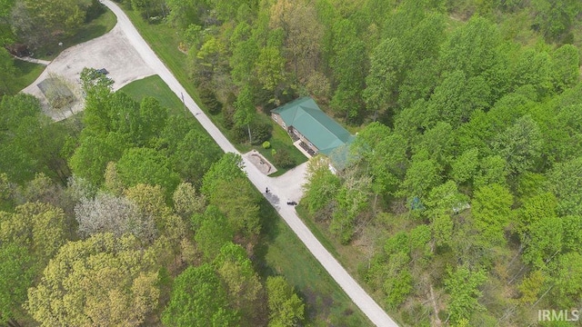 12067 E Bedrock Ln, Springville, IN 47462 - aerial view of a forest