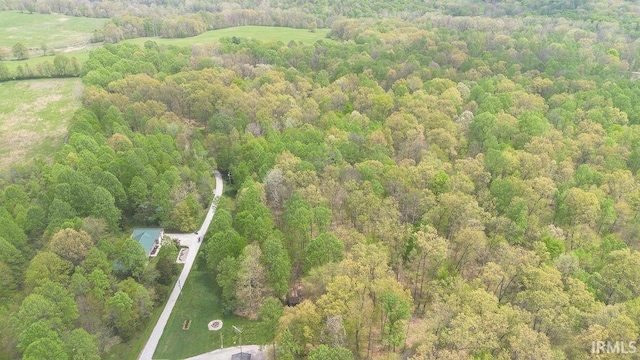 12067 E Bedrock Ln, Springville, IN 47462 - bird's eye view of a forest