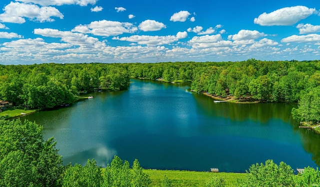 bird's eye view of a forest and a nearby body of water