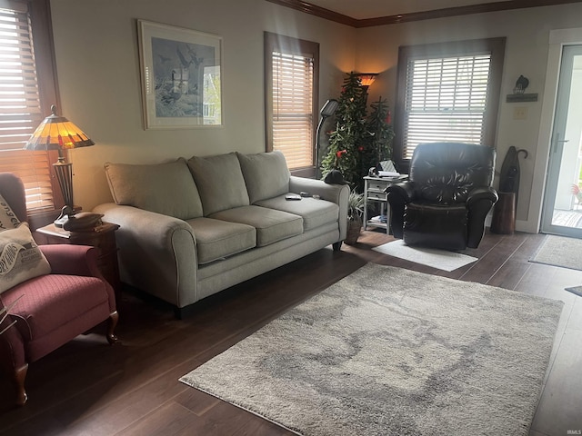 2515 Hubertus Ave, Fort Wayne, IN 46805 - living room featuring dark wood-style flooring and ornamental molding