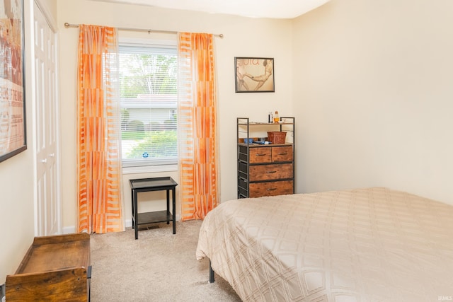 1005 E Buckingham Dr, Bloomington, IN 47401 - carpeted bedroom with multiple windows