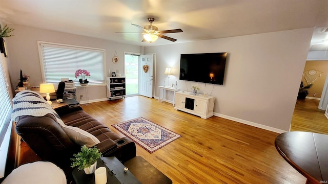 living room featuring ceiling fan, light wood-type flooring, and baseboards