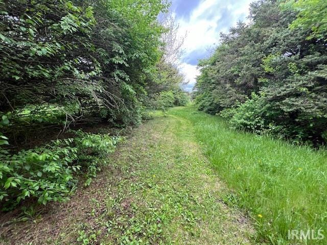 3800 S 175 W, Lafayette, IN 47909 - view of yard