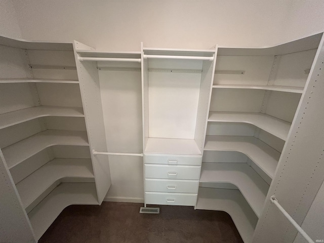 spacious closet featuring dark colored carpet