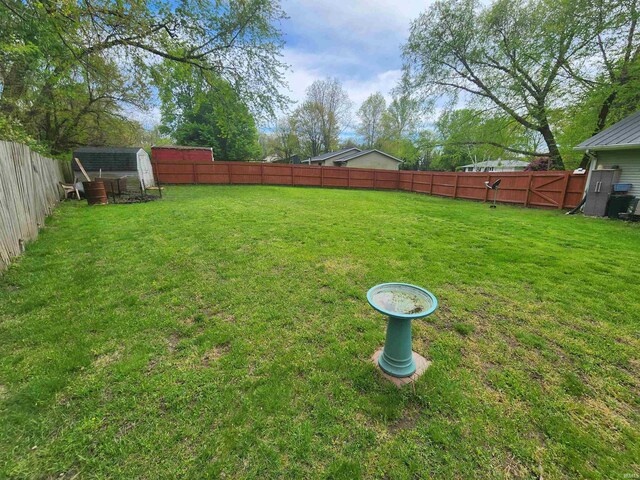 view of yard featuring a storage shed and an outdoor structure