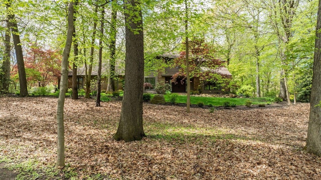 55961 Dana Dr, Bristol, IN 46507 - view of yard