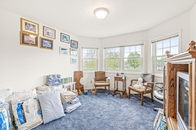3700 Saint Andrews Pl, Elkhart, IN 46517 - sitting room featuring carpet flooring and baseboards