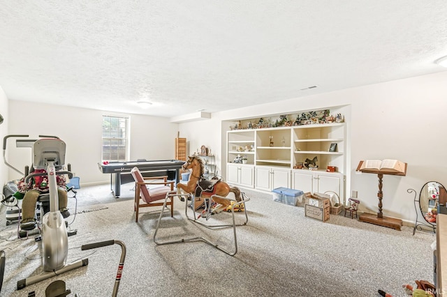 3700 Saint Andrews Pl, Elkhart, IN 46517 - rec room featuring carpet floors and a textured ceiling
