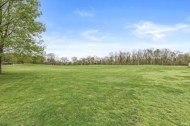 3700 Saint Andrews Pl, Elkhart, IN 46517 - view of green lawn