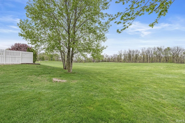 3700 Saint Andrews Pl, Elkhart, IN 46517 - view of yard