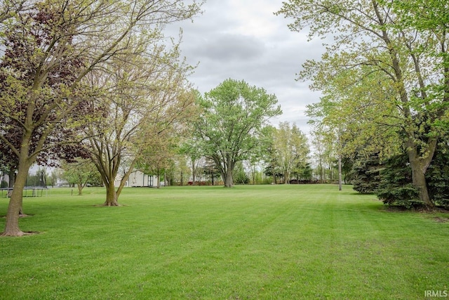 3029 Carroll Rd, Fort Wayne, IN 46818 - view of green lawn