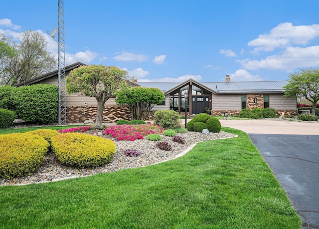 mid-century modern home featuring a front lawn, brick siding, a chimney, and metal roof