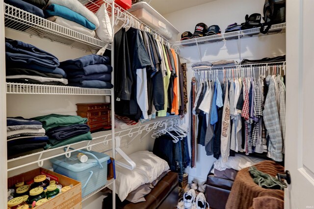 8455 Nolia Ln, Newburgh, IN 47630 - view of walk in closet