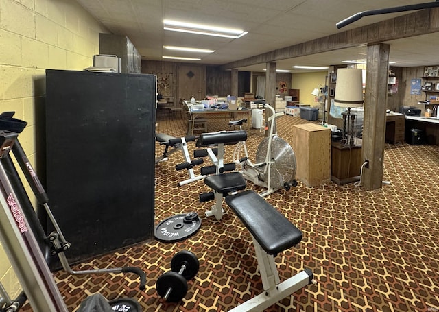 10059 Quince Rd, Plymouth, IN 46563 - miscellaneous room with carpet, concrete block wall, and wooden walls