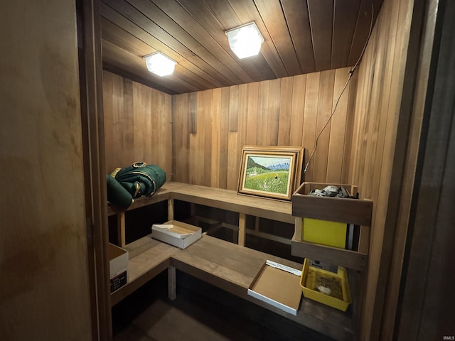 10059 Quince Rd, Plymouth, IN 46563 - sauna / steam room featuring wooden walls and wooden ceiling