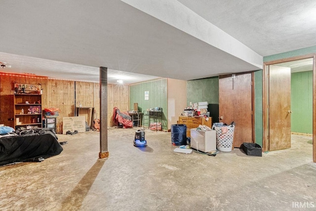 finished basement with wooden walls