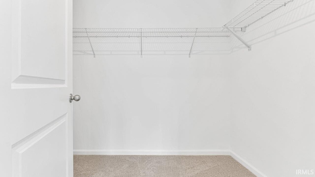 8180 Carlie Ct, Fort Wayne, IN 46818 - walk in closet with light carpet
