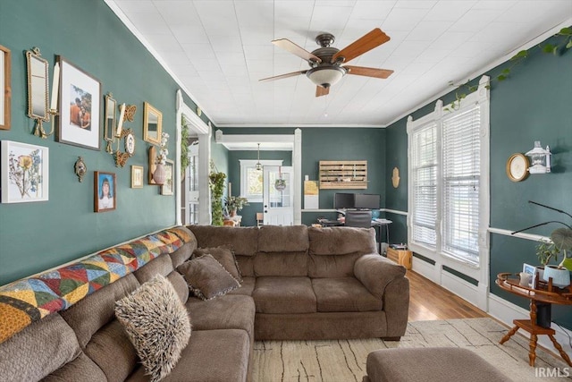 400 S Clay St, Frankfort, IN 46041 - living area featuring a ceiling fan, ornamental molding, wood finished floors, and plenty of natural light